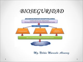BIOSEGURIDAD




   Mg.Nilda Marcelo Alvarez
 