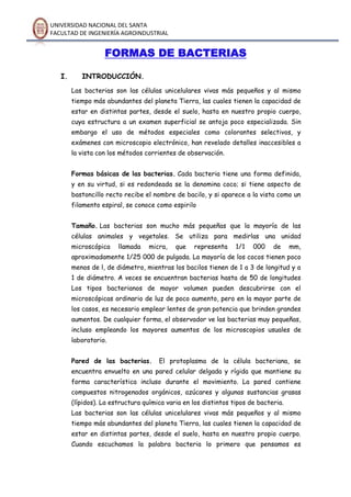 UNIVERSIDAD NACIONAL DEL SANTA
FACULTAD DE INGENIERÍA AGROINDUSTRIAL
FORMAS DE BACTERIAS
I. INTRODUCCIÓN.
Las bacterias son las células unicelulares vivas más pequeños y al mismo
tiempo más abundantes del planeta Tierra, las cuales tienen la capacidad de
estar en distintas partes, desde el suelo, hasta en nuestro propio cuerpo,
cuya estructura a un examen superficial se antoja poco especializada. Sin
embargo el uso de métodos especiales como colorantes selectivos, y
exámenes con microscopio electrónico, han revelado detalles inaccesibles a
la vista con los métodos corrientes de observación.
Formas básicas de las bacterias. Cada bacteria tiene una forma definida,
y en su virtud, si es redondeada se la denomina coco; si tiene aspecto de
bastoncillo recto recibe el nombre de bacilo, y si aparece a la vista como un
filamento espiral, se conoce como espirilo
Tamaño. Las bacterias son mucho más pequeñas que la mayoría de las
células animales y vegetales. Se utiliza para medirlas una unidad
microscópica llamada micra, que representa 1/1 000 de mm,
aproximadamente 1/25 000 de pulgada. La mayoría de los cocos tienen poco
menos de l, de diámetro, mientras los bacilos tienen de 1 a 3 de longitud y a
1 de diámetro. A veces se encuentran bacterias hasta de 50 de longitudes
Los tipos bacterianos de mayor volumen pueden descubrirse con el
microscópicas ordinario de luz de poco aumento, pero en la mayor parte de
los casos, es necesario emplear lentes de gran potencia que brinden grandes
aumentos. De cualquier forma, el observador ve las bacterias muy pequeñas,
incluso empleando los mayores aumentos de los microscopios usuales de
laboratorio.
Pared de las bacterias. El protoplasma de la célula bacteriana, se
encuentra envuelto en una pared celular delgada y rígida que mantiene su
forma característica incluso durante el movimiento. La pared contiene
compuestos nitrogenados orgánicos, azúcares y algunas sustancias grasas
(lípidos). La estructura química varia en los distintos tipos de bacteria.
Las bacterias son las células unicelulares vivas más pequeños y al mismo
tiempo más abundantes del planeta Tierra, las cuales tienen la capacidad de
estar en distintas partes, desde el suelo, hasta en nuestro propio cuerpo.
Cuando escuchamos la palabra bacteria lo primero que pensamos es
 