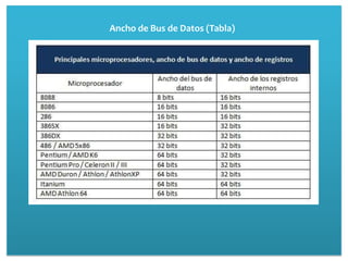 Ancho de Bus de Datos (Tabla)
 