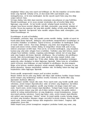 menghadapi bahaya yang sama seperti saat kehilangan air. Jika kita tempatkan sel tersebut dalam
larutan yang hipotonik terhadap sel itu, air akan masuk lebih cepat daripada yang
meninggalkannya, sel ini akan membengkak dan lisis (pecah) seperti balon yang etrus ditiup
sampai melewati batas.
Sel tanpa dinding kaku tidak dapat menerima penyerapan atau pelepasan air yang berlebihan.
Masalah keseimbangan air ini secara otomatis terselesaikan jika sel tersebut hidup dalam
lingkungan yang isotonik. Air laut bersifat isotonik terhadap banyak invertebrata laut. Sel
sebagian besar hewan terestrial dilingkupi oleh fluida ekstraseluler yang isotonik terhadap sel
tersebut. Hewan dan organisme lain yang tidak memiliki dinding sel kaku yang hidup dalam
lingkungan hipertonik atau hipotonik harus memiliki adaptasi khusus untuk osmoregulasi, yaitu
kontrol keseimbangan air.
Keseimbangan air pada sel berdinding
Sel tumbuhan, prokariota, fungi, dan sejumlah protista memiliki dinding. Apabila sel seperti ini
berada dalam larutan hipotonik, dindingnya akan membantu mempertahankan keseimbangan air
sel tersebut. Perhatikan sel tumbuhan. Seperti sel hewan, sel tumbuhan ini membengkak ketika
air masuk melalui osmosis. Akan tetapi, dindingnya yang lentur akan mengembang hanya
sampai pada ukuran tertentu sebelum dinding ini mengerahkan tekanan balik pada sel yang
melawan penyerapan air lebih lanjut. Pada saat ini, sel tersebut membengkak, yang merupakan
keadaan yang sehat untuk sebagian besar se tumbuhan. Tumbuhan yang tidak berkayu, seperti
sebagian besar tumbuhan rumahan, tergantung pada dukungan mekanis dari sel yang dijaga
untuk tetap bengkak oleh larutan hipotonik sekelilingnya. Jika sel tumbuhan dan sekelilingnya
isotonik, tidak ada kecenderungan bagi air untuk masuk dan selnya menjadi lembek, yang
menyebabkan tumbuhan menjadi layu. Di lain pihak, dinding tidak mendapatkan keuntungan
apapun jika selnya dicelupkan ke dalam lingkungan hipertonik. Dalam kasus ini, sel tumbuhan,
seperti sel hewan, akan kehilangan air yang berpindah ke sekelilingnya dan akan mengerut.
Begitu sel ini berkerut, membran plasmanya tertarik menjauhi dindingnya. Fenomena ini yang
disebut plasmolisis, biasanya menyebabkan tumbuhan mati. Sel dinding bakteri dan fungi juga
berplasmolisis dalam lingkungan hipertonik.
Protein spesifik mempermudah transpor pasif zat terlarut terseleksi
Banyak molekul dan ion polar yang ditahan oleh bilayer lipid membran berdifusi dengan bantuan
protein transpor yang membentangi membran tersebut. Fenomena ini disebut difusi yang
dipermudah (facilitated diffusion).
Protein transpor memiliki banyak sifat enzim. Persis seperti enzim yang bersifat spesifik untuk
substratnya, protein transpor dispesialisasikan untuk zat terlarut yang diangkutnya dan bahkan
mungkin memiliki tempat pengikatan spesifik yang bertalian erat dengan tempat aktif suatu
enzim. Seperti enzim, protein transpor dapat dijenuhkan. Terdapat begitu banyak molekul dari
setiap jenis protein transpor yang telah ada di dalam membran plasma, dan apabila molekul-
molekul ini sedang mentranslokasikan zat yang diangkutnya secepat kemampuannya, transpor
akan terjadi pada laju maksimum. Seperti juga halnya enzim, protein transpor dapat dihambat
oleh molekul yang menyerupai “substrat” normal. Ini terjadi apabila si peniru bersaing dengan
zat terlarut yang normalnya ditranspor dengan cara terikat ke protein transpor. Akan tetapi, tidak
seperti enzim, protein transpor biasanya tidak mrngkatalisis reaksi kimiawi. Fungsinya ialah
mengkatalisis proses fisik.
Dalam banyak kasus, protein kemungkinan mengalami perubahan bentuk yang samar, yang
 