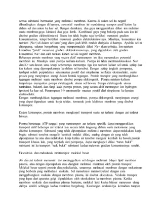 semua substansi bermuatan yang melintasi membran. Karena di dalam sel itu negatif
dibandingkan dengan di luarnya, potensial membran ini mendukung transpor pasif kation ke
dalam sel dan anion ke luar sel. Dengan demikian, dua gaya menggerakkan difusi ion melintasi
suatu membran;gaya kimiawi dan gaya listrik. Kombinasi gaya yang bekerja pada satu ion ini
disebut gradien elektrokimiawi. Suatu ion tidak begitu saja berdifusi menuruni gradien
konsentrasinya, tetapi berdifusi menuruni gradien elektrokimiawinya. Misalnya, konsentrasi ion
natrium (Na+) di dalam sel saraf yang diam jauh lebih rendah daripada di luarnya. Apabila sel ini
dirangsang, saluran bergerbang yang mempermudah difusi Na+ akan terbuka. Ion natrium
kemudian “jatuh” menuruni gradien elektrokimiawinya, yang digerakkan oleh gradien
konsentrasi Na+ dan oleh tarikan kation ke sisi negatif membran.
Beberapa protein membran yang secara aktif mentranspor ion ikut menentukan potensial
membran ini. Misalnya ialah pompa natrium-kalium. Pompa ini tidak mentranslokasikan Na+
dan K+ satu lawan satu, tetapi sebenarnya memompa tiga ion natrium keluar sel untuk setiap dua
ion kalium yang dipompakannya ke dalam sel tersebut. Dengan setiap langkah pompanya,
terdapat selisih perpindahan satu muatan positif dari sitoplasma ke fluida ekstraseluler, suatu
proses yang menyimpan energi dalam bentuk tegangan. Protein transpor yang membangkitkan
tegangan melintasi suatu membran disebut pompa elektrogenik. Pompa natrium-kalium
tampaknya merupakan pompa elektrogenik utama sel hewan. Pompa elektrogenik utama
tumbuhan, bakteri, dan fungi ialah pompa proton, yang secara aktif mentraspor ion hydrogen
(proton) ke luar sel. Pemompaan H+ mentransfer muatan positif dari sitoplasma ke larutan
ekstraseluler.
Dengan membangkitkan tegangan melintasi membran, pompa elektrogenik menyimpan energi
yang dapat digunakan untuk kerja seluler, termasuk jenis lalulintas membran yang disebut
kotranspor.
Dalam kotranspor, protein membran mengkopel transport suatu zat terlarut dengan zat terlarut
lainnya.
Pompa bertenaga ATP tunggal yang mentranspor zat terlarut spesifik dapat menggerakkan
transport aktif beberapa zat terlarut lain secara tidak langsung dalam suatu mekanisme yang
disebut kotranspor. Substansi yang telah dipompakan melintasi membran dapat melakukan kerja
begitu substasi tersebut mengalir kembali melalui difusi, analog dengan air yang telah
dipompakan ke atas dan melakukan kerja ketika air tersebut mengalir kembali ke bawah.protein
transport khusus lain, yang terpisah dari pompanya, dapat mengkopel difusi “turun bukit”
substansi ini ke transport “naik bukit” substansi kedua melawan gradien konsentrasinya sendiri.
Eksositosis dan endositosis mentranspor molekul besar
Air dan zat terlarut memasuki dan meninggalkan sel dengan melintasi bilayer lipid membran
plasma, atau dengan dipompakan atau diangkut melintasi membran oleh protein transpor.
Molekul besar seperti protein dan polisakarida, umumnya melintasi membran dengan mekanisme
yang berbeda yang melibatkan vasikula. Sel mensekresi makromolekul dengan cara
menggabungkan vasikula dengan membran plasma, ini disebut eksositosis. Vesikula transpor
yang lepas dari aparatus golgi dipindahkan oleh sitoskeleton ke membran plasma. Ketika
membran vesikula dan membran plasma bertemu, molekul lipid kedua bilayer menyusun ulang
dirinya sendiri sehingga kedua membran bergabung. Kandungan vesikulanya kemudian tumpah
 
