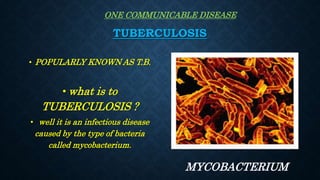 TUBERCULOSIS
• POPULARLY KNOWN AS T.B.
• what is to
TUBERCULOSIS ?
• well it is an infectious disease
caused by the type of bacteria
called mycobacterium.
MYCOBACTERIUM
ONE COMMUNICABLE DISEASE
 