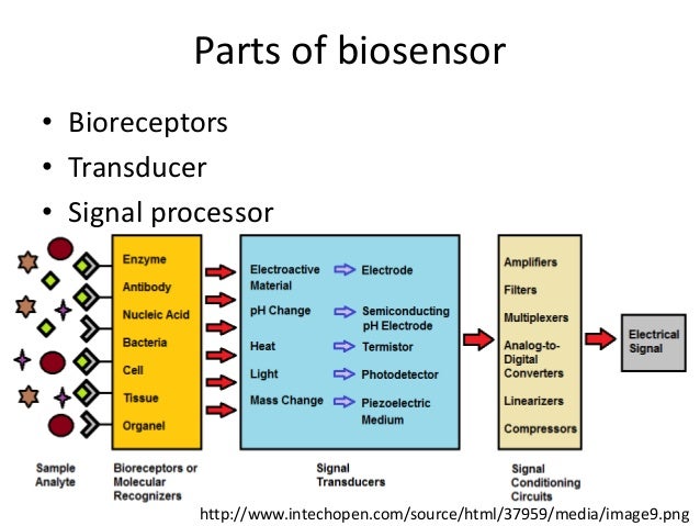Biosensor
