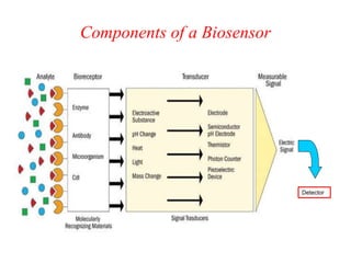 Biosensor | PPTX