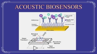 Biosensors and their applications in Food Safety | PPTX