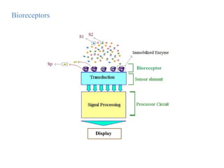 Bioreceptors
Bioreceptor
Display
 