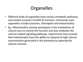 Organelles
• Different kinds of organelles have various metabolic pathways
and contain enzymes to fulfill its function. Commonly used
organelles include lysosome, chloroplast and mitochondria.
• Eg : Mitochondria actively participate in the metabolism of
calcium ions to control the function and also modulate the
calcium related signaling pathways. Experiments have proved
that mitochondria have the ability to respond to high calcium
concentration generated in the proximity by opening the
calcium channel.
 