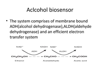 Aclcohol biosensor
• The system comprises of membrane bound
ADH(alcohol dehydrogenase),ALDH(aldehyde
dehydrogenase) and an efficient electron
transfer system
 