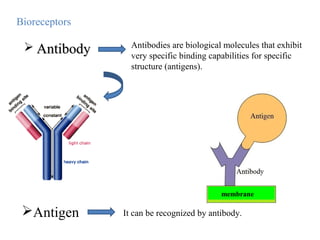  AntibodyAntibody Antibodies are biological molecules that exhibit
very specific binding capabilities for specific
structure (antigens).
Antigen It can be recognized by antibody.
Bioreceptors
membrane
 