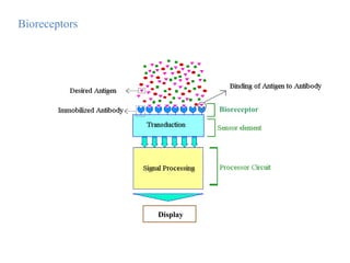 Bioreceptors
Display
Bioreceptor
 