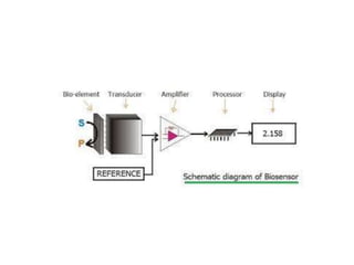 Biosensor , its components, working and types of biosensors | PPTX