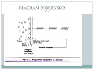 BIOSENSOR.pptx