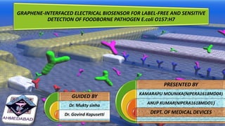 GRAPHENE-INTERFACED ELECTRICAL BIOSENSOR FOR LABEL-FREE AND SENSITIVE
DETECTION OF FOODBORNE PATHOGEN E.coli O157:H7
PRESENTED BY
KAMARAPU MOUNIKA(NIPERA1618MD04)
ANUP KUMAR(NIPERA1618MDO1)
DEPT. OF MEDICAL DEVICES
GUIDED BY
Dr. Mukty sinha
Dr. Govind Kapusetti 1
 