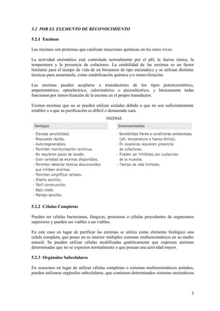 5.2 POR EL ELEMENTO DE RECONOCIMIENTO

5.2.1 Enzimas

Las enzimas son proteínas que catalizan reacciones químicas en los seres vivos.

La actividad enzimática está controlada normalmente por el pH, la fuerza iónica, la
temperatura y la presencia de cofactores. La estabilidad de las enzimas es un factor
limitante para el tiempo de vida de un biosensor de tipo enzimático y se utilizan distintas
técnicas para aumentarla, como estabilización química y/o inmovilización.

Las enzimas pueden acoplarse a transductores de los tipos potenciométrico,
amperométrico, optoeléctrico, calorimétrico o piezoeléctrico, y básicamente todas
funcionan por inmovilización de la enzima en el propio transductor.

Existen enzimas que no se pueden utilizar aisladas debido a que no son suficientemente
estables o a que su purificación es difícil o demasiado cara.




5.2.2 Células Completas

Pueden ser células bacterianas, fúngicas, protozoos o células procedentes de organismos
superiores y pueden ser viables o no viables.

En este caso en lugar de purificar las enzimas se utiliza como elemento biológico una
célula completa, que posee en su interior múltiples sistemas multienzimáticos en su medio
natural. Se pueden utilizar células modificadas genéticamente que expresen enzimas
determinadas que no se expresen normalmente o que posean una actividad mayor.

5.2.3 Orgánulos Subcelulares

En ocasiones en lugar de utilizar células completas o sistemas multienzimáticos aislados,
pueden utilizarse orgánulos subcelulares, que contienen determinados sistemas enzimáticos



                                                                                         5
 