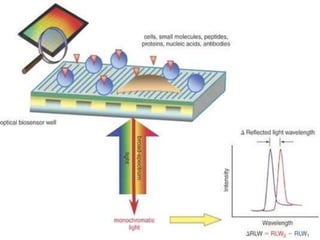 Biosensor ppt | PPTX