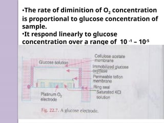 •The rate of diminition of O2 concentration
is proportional to glucose concentration of
sample.
•It respond linearly to glucose
concentration over a range of 10 -1
– 10-5
mol dm-3
with a response time of 1 minute.
 