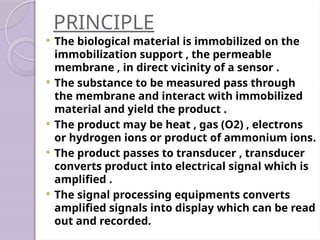 PRINCIPLE
 The biological material is immobilized on the
immobilization support , the permeable
membrane , in direct vicinity of a sensor .
 The substance to be measured pass through
the membrane and interact with immobilized
material and yield the product .
 The product may be heat , gas (O2) , electrons
or hydrogen ions or product of ammonium ions.
 The product passes to transducer , transducer
converts product into electrical signal which is
amplified .
 The signal processing equipments converts
amplified signals into display which can be read
out and recorded.
 