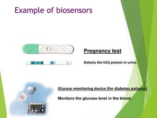 Example of biosensors
Pregnancy test
Detects the hCG protein in urine.
Glucose monitoring device (for diabetes patients)
Monitors the glucose level in the blood.
 