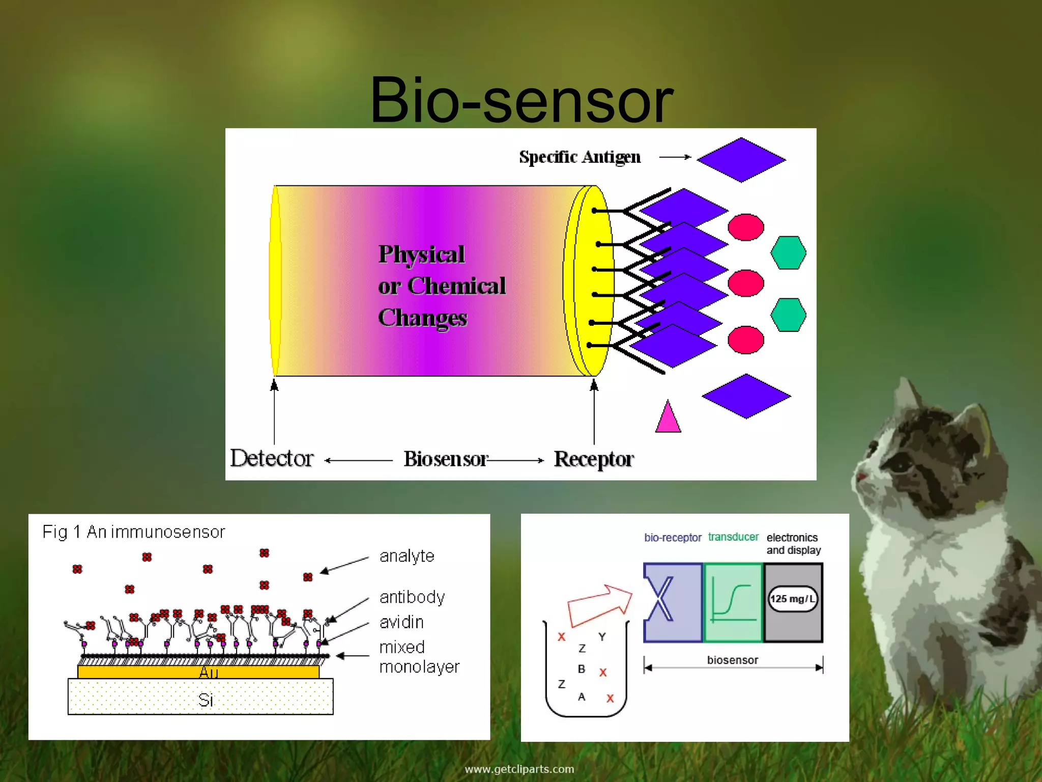 Bio-sensor