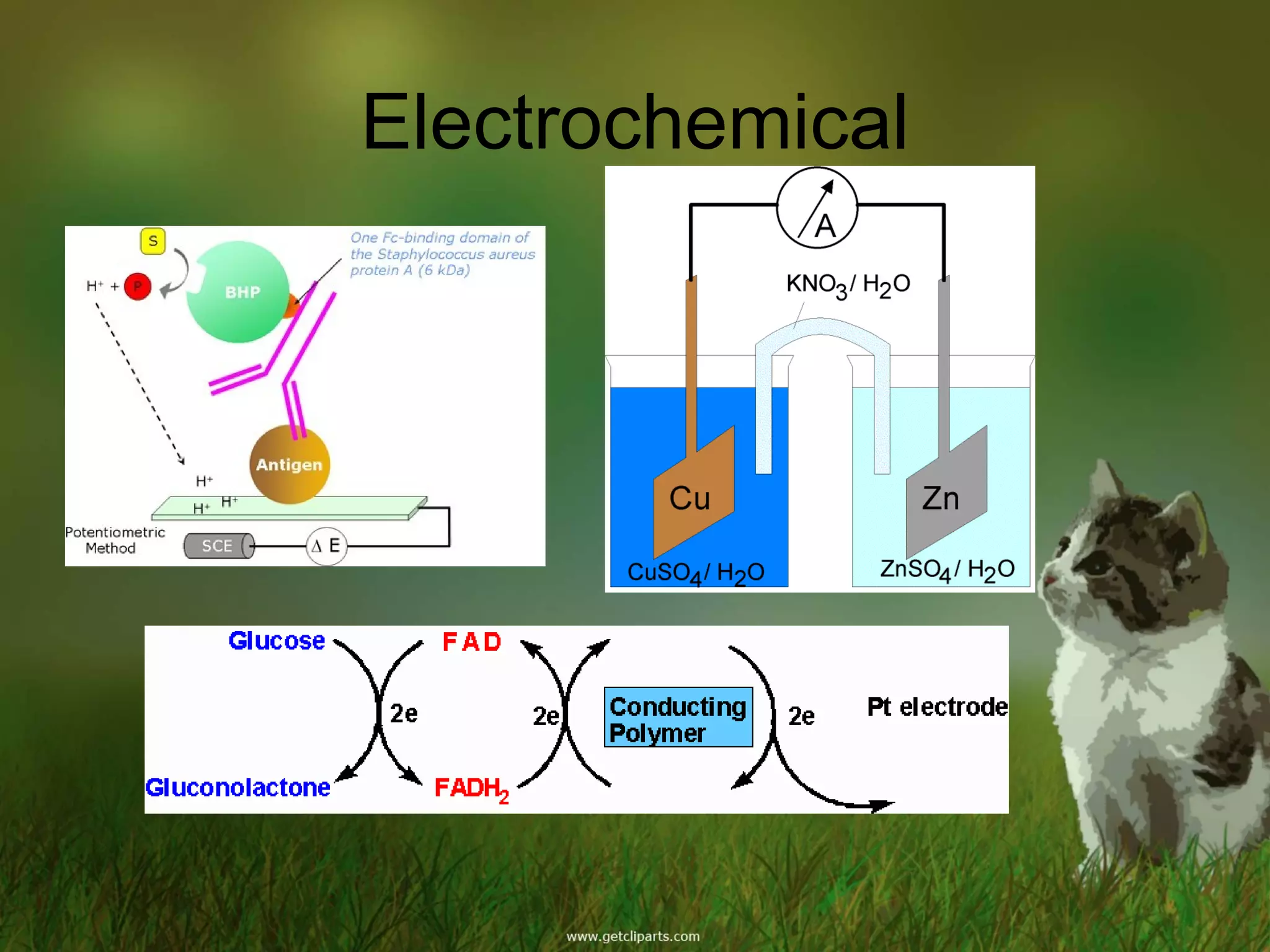 Electrochemical
