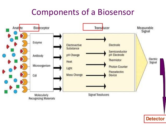 biosensors