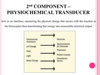 Acts as an interface, measuring the physical change that occurs with the reaction at
the bioreceptor then transforming that energy into measurable electrical output.
2nd COMPONENT –
PHYSIOCHEMICAL TRANSDUCER
 