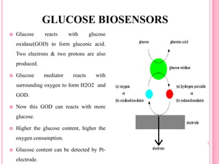  Glucose reacts with glucose
oxidase(GOD) to form gluconic acid.
Two electrons & two protons are also
produced.
 Glucose mediator reacts with
surrounding oxygen to form H2O2 and
GOD.
 Now this GOD can reacts with more
glucose.
 Higher the glucose content, higher the
oxygen consumption.
 Glucose content can be detected by Pt-
electrode.
GLUCOSE BIOSENSORS
 