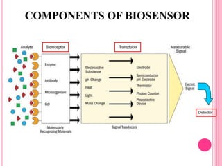 Detector
COMPONENTS OF BIOSENSOR
 