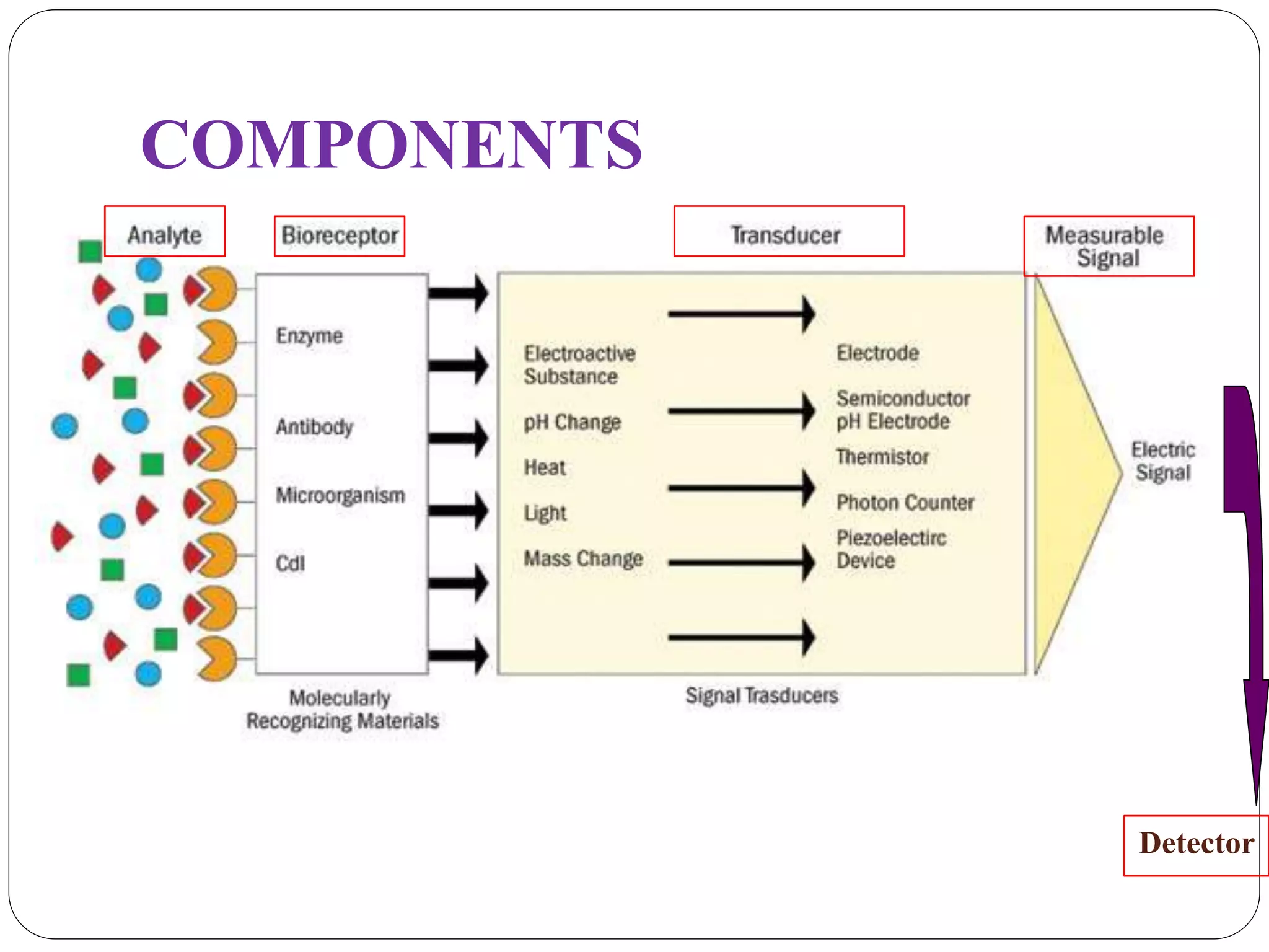 COMPONENTS
Detector
 