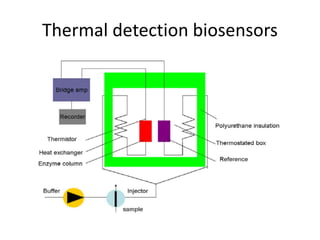 Thermal detection biosensors
 