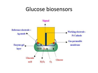 Glucose biosensors
 