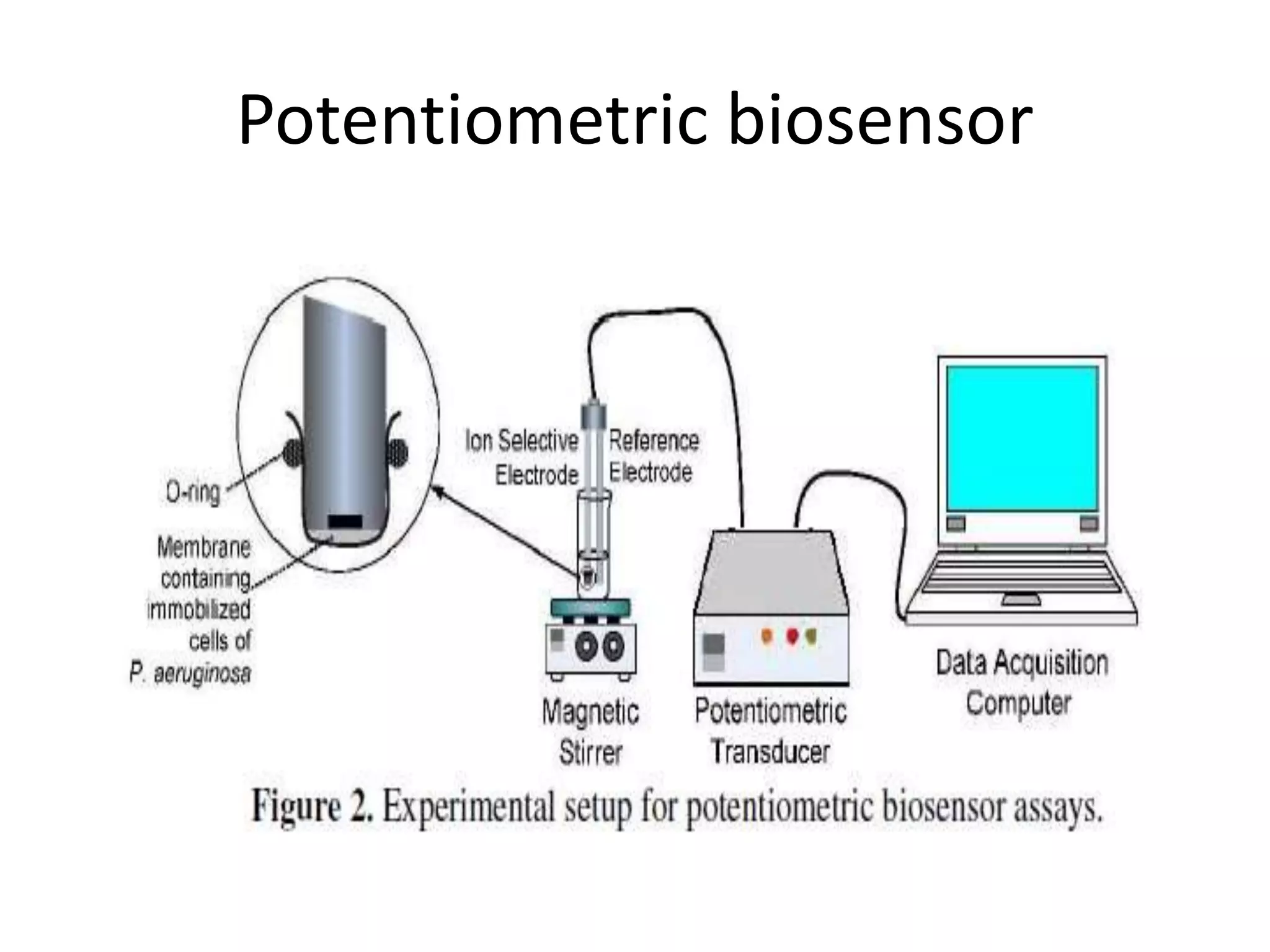 Potentiometric biosensor
 
