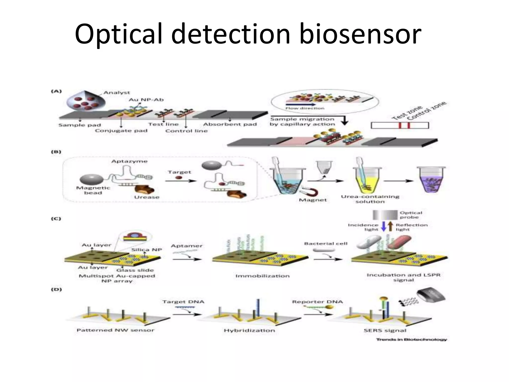 Optical detection biosensor
 
