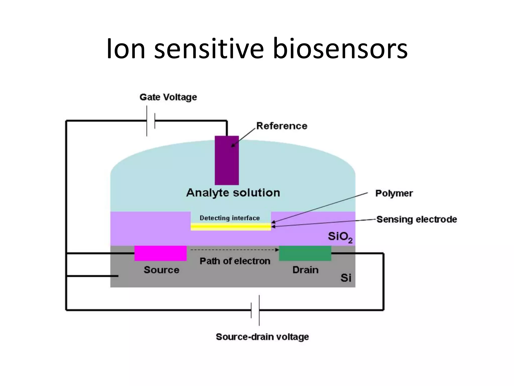 Ion sensitive biosensors
 