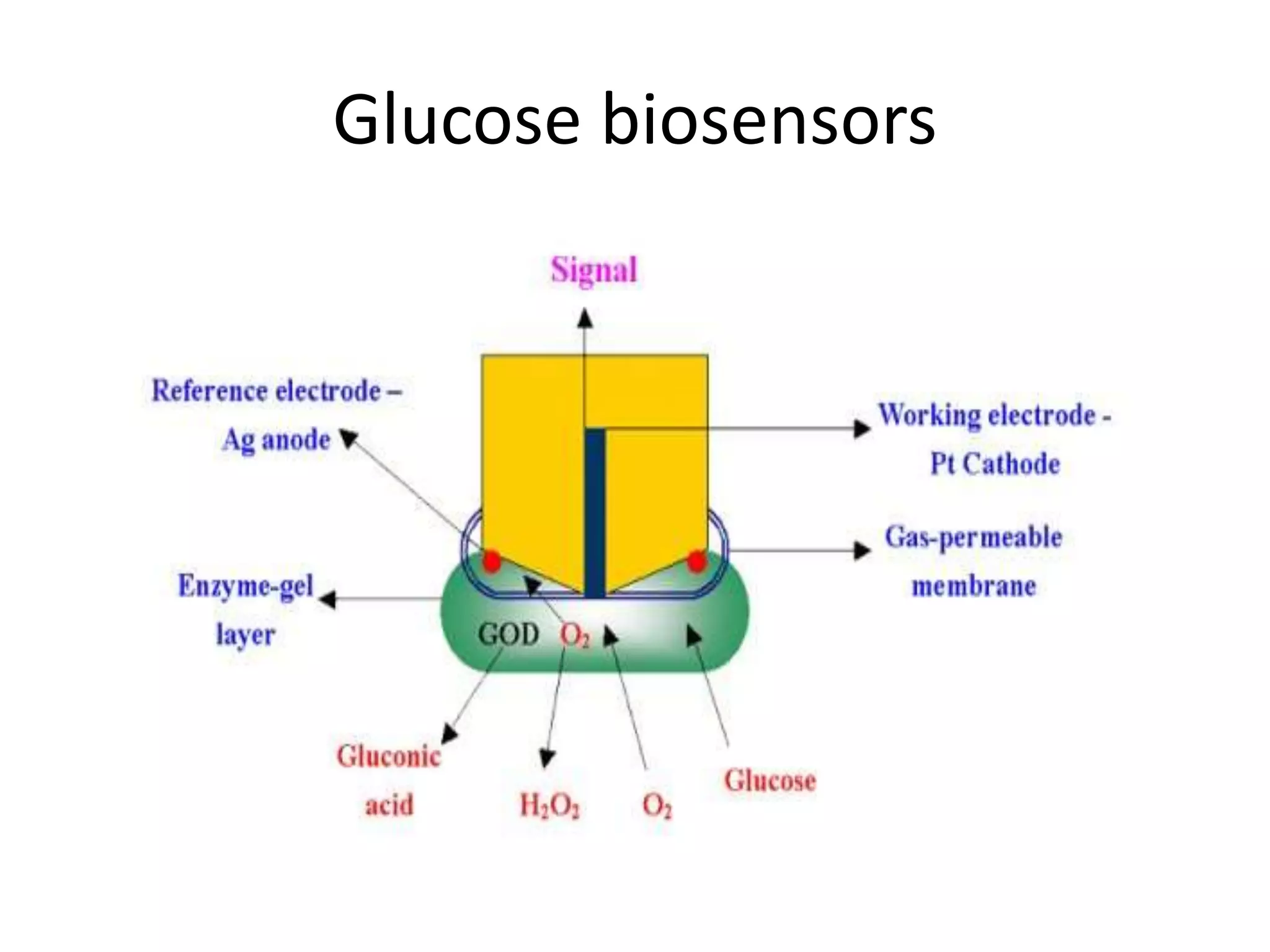 Glucose biosensors
 