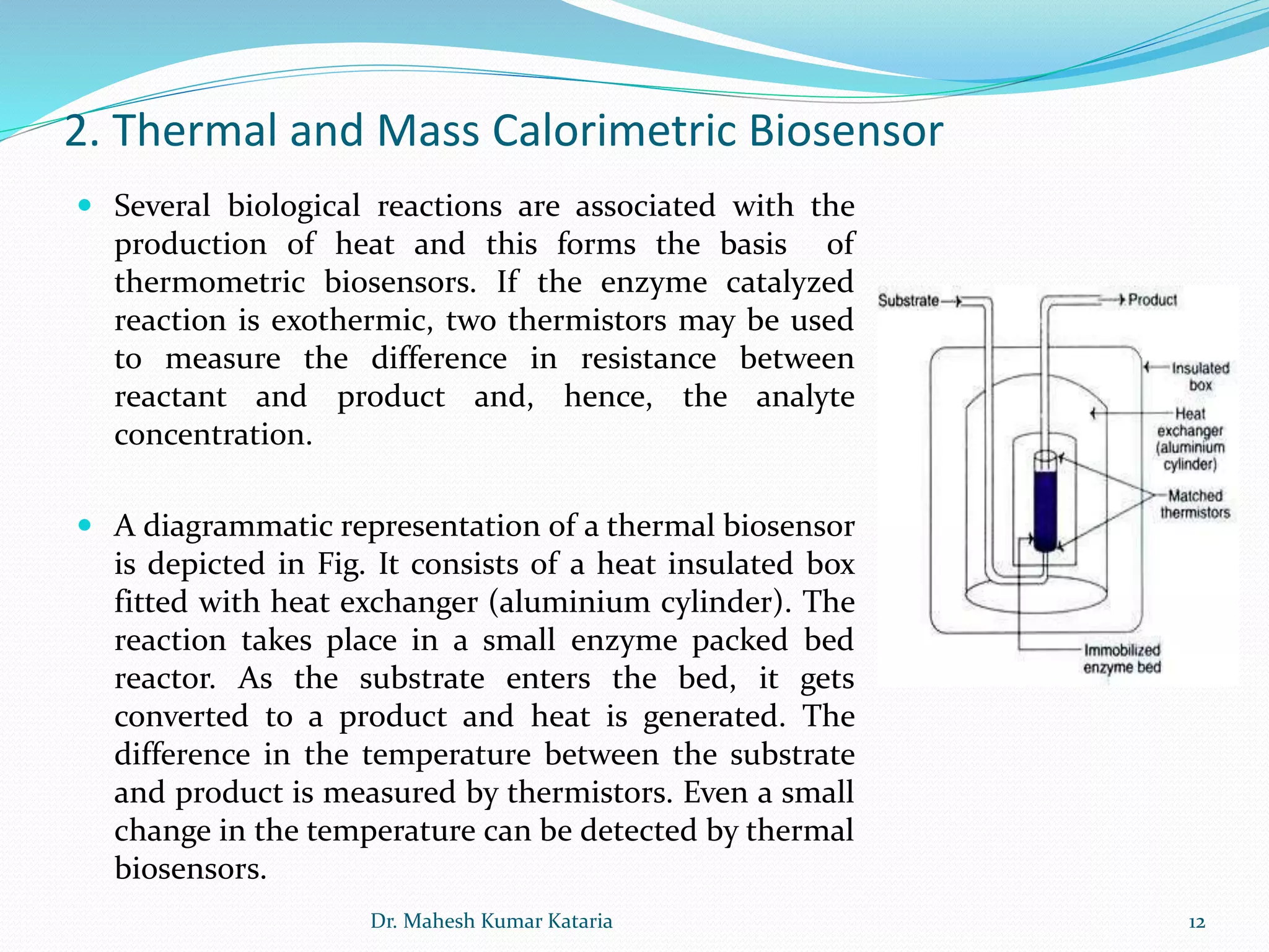2. Thermal and Mass Calorimetric Biosensor
 Several biological reactions are associated with the
production of heat and this forms the basis of
thermometric biosensors. If the enzyme catalyzed
reaction is exothermic, two thermistors may be used
to measure the difference in resistance between
reactant and product and, hence, the analyte
concentration.
 A diagrammatic representation of a thermal biosensor
is depicted in Fig. It consists of a heat insulated box
fitted with heat exchanger (aluminium cylinder). The
reaction takes place in a small enzyme packed bed
reactor. As the substrate enters the bed, it gets
converted to a product and heat is generated. The
difference in the temperature between the substrate
and product is measured by thermistors. Even a small
change in the temperature can be detected by thermal
biosensors.
12Dr. Mahesh Kumar Kataria
 