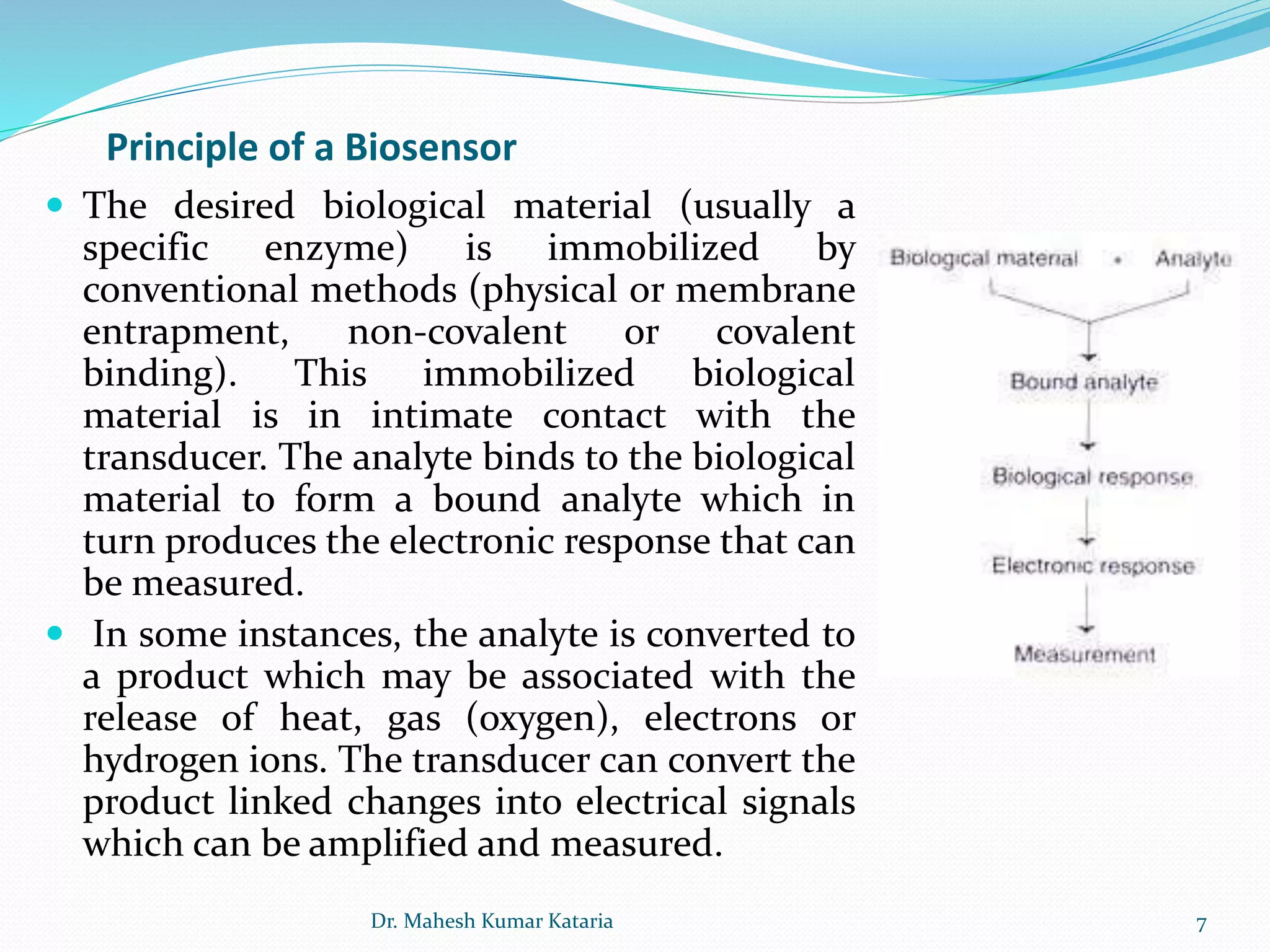 Principle of a Biosensor
 The desired biological material (usually a
specific enzyme) is immobilized by
conventional methods (physical or membrane
entrapment, non-covalent or covalent
binding). This immobilized biological
material is in intimate contact with the
transducer. The analyte binds to the biological
material to form a bound analyte which in
turn produces the electronic response that can
be measured.
 In some instances, the analyte is converted to
a product which may be associated with the
release of heat, gas (oxygen), electrons or
hydrogen ions. The transducer can convert the
product linked changes into electrical signals
which can be amplified and measured.
7Dr. Mahesh Kumar Kataria
 