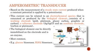 AMPEROMETRIC TRANSDUCER
 Based on the measurement of a steady state current produced when
a constant potential is applied by a potentiostat.
 This current can be related to an electrochemical species that is
consumed or produced by the biological element…consists of a
working electrode (gold, platinum, glassy carbon, graphite or
carbon), a reference electrode (Ag/AgCl) and an auxiliary electrode,
(carbon or platinum)..
 The biological element can be directly
immobilized on the electrode and is
an enzyme.
 Most common.
 E.g. glucose biosensor, H2O2 biosensor…
 