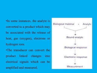 •In some instances, the analyte is
converted to a product which may
be associated with the release of
heat, gas (oxygen), electrons or
hydrogen ions.
•The transducer can convert the
product linked changes into
electrical signals which can be
amplified and measured.
 