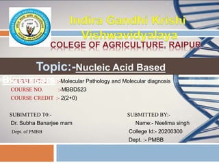 COURSE TITLE :-Molecular Pathology and Molecular diagnosis
COURSE NO. :-MBBD523
COURSE CREDIT :- 2(2+0)
SUBIMTTED T0:- SUBMITTED BY:-
Dr. Subha Banarjee mam Name:- Neelima singh
Dept. of PMBB College Id:- 20200300
Dept. :- PMBB
Nucleic Acid Based
Biosensors
 