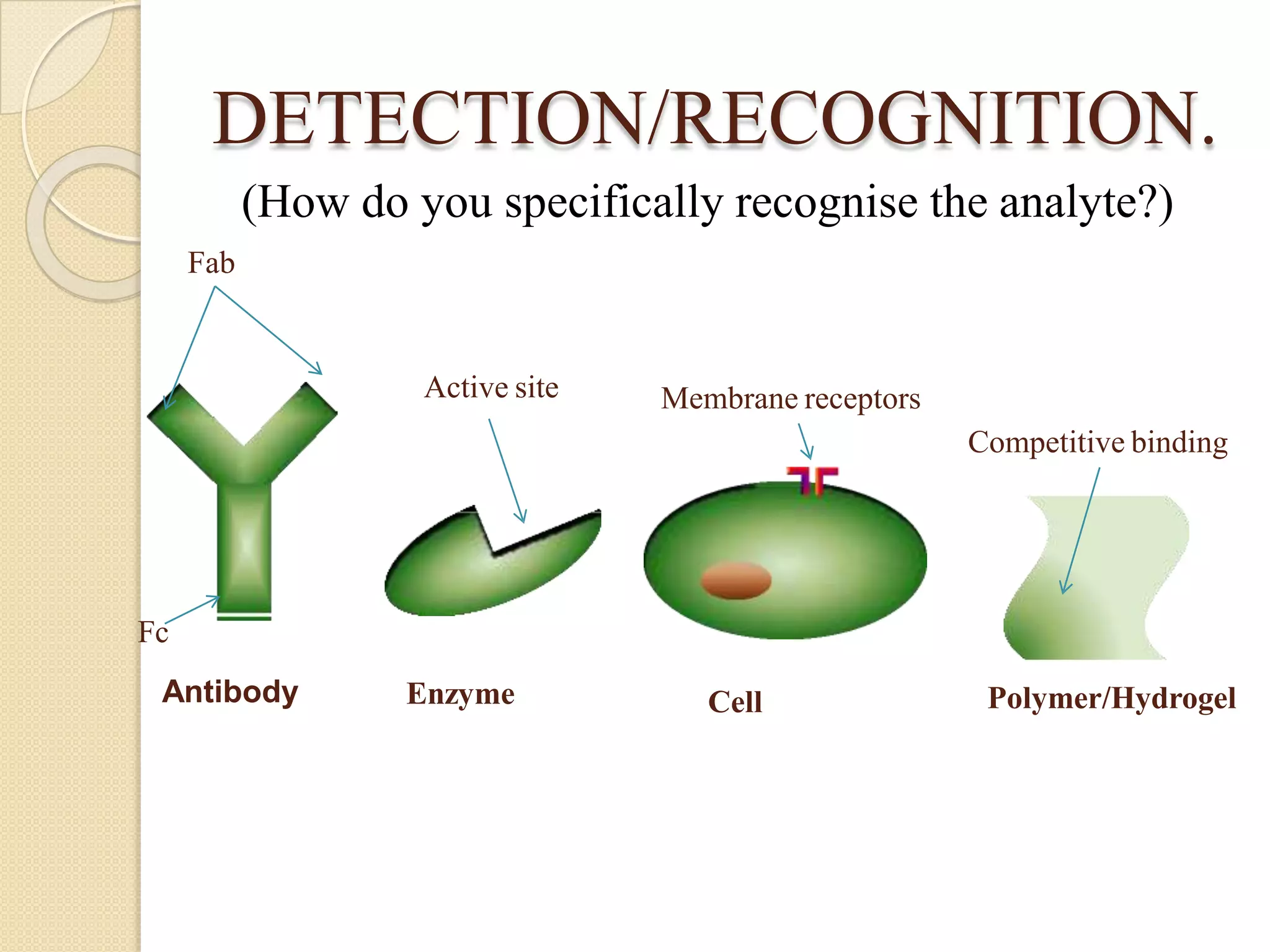 DETECTION/RECOGNITION.
Antibody Enzyme
Active site
Fc
Cell
Membrane receptors
Polymer/Hydrogel
Competitive binding
(How do you specifically recognise the analyte?)
Fab
 