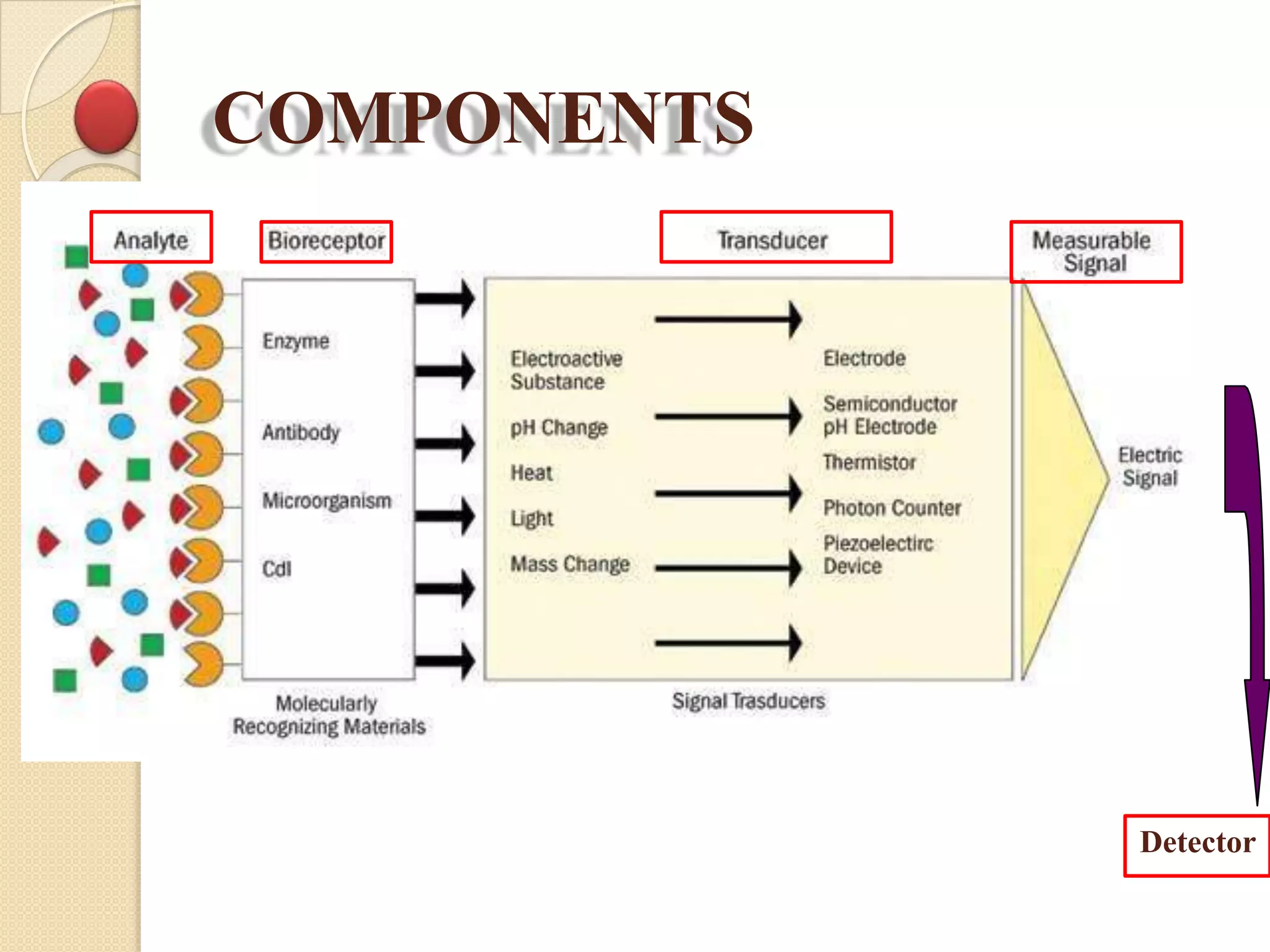 COMPONENTS
Detector
 