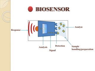Biosensors An analytical Device 
