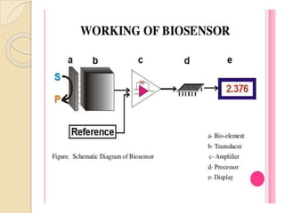 Biosensors An analytical Device 