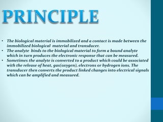 • The biological material is immobilized and a contact is made between the
immobilized biological material and transducer.
• The analyte binds to the biological material to form a bound analyte
which in turn produces the electronic response that can be measured.
• Sometimes the analyte is converted to a product which could be associated
with the release of heat, gas(oxygen), electrons or hydrogen ions. The
transducer then converts the product linked changes into electrical signals
which can be amplified and measured.
 
