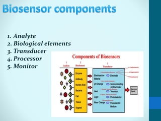 1. Analyte
2. Biological elements
3. Transducer
4. Processor
5. Monitor
 