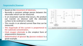  Based on the movement of electrons.
 Normally a constant voltage passes between the
electrodes which can be measured.
 In an enzymatic reaction that occurs, the product
can transfer an electron with the electrode
surface to be oxidised or reduced.
 This results in an altered current flow that can be
measured.
 The magnitude of the current is proportional to
the substrate concentration,
 Clark oxygen electrode is the simplest form of
amperometric biosensor.
 Determination of glucose by glucose oxidase is a
good example.
10
Amperometric biosensor
 
