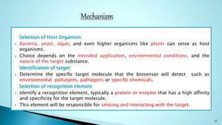Selection of Host Organism:
 Bacteria, yeast, algae, and even higher organisms like plants can serve as host
organisms.
 Choice depends on the intended application, environmental conditions, and the
nature of the target substance.
Identification of target:
 Determine the specific target molecule that the biosensor will detect such as
environmental pollutants, pathogens or specific chemicals.
Selection of recognition element
 Identify a recognition element, typically a protein or enzyme that has a high affinity
and specificity for the target molecule.
 This element will be responsible for sensing and interacting with the target.
37
 