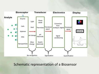 Schematic representation of a Biosensor
 