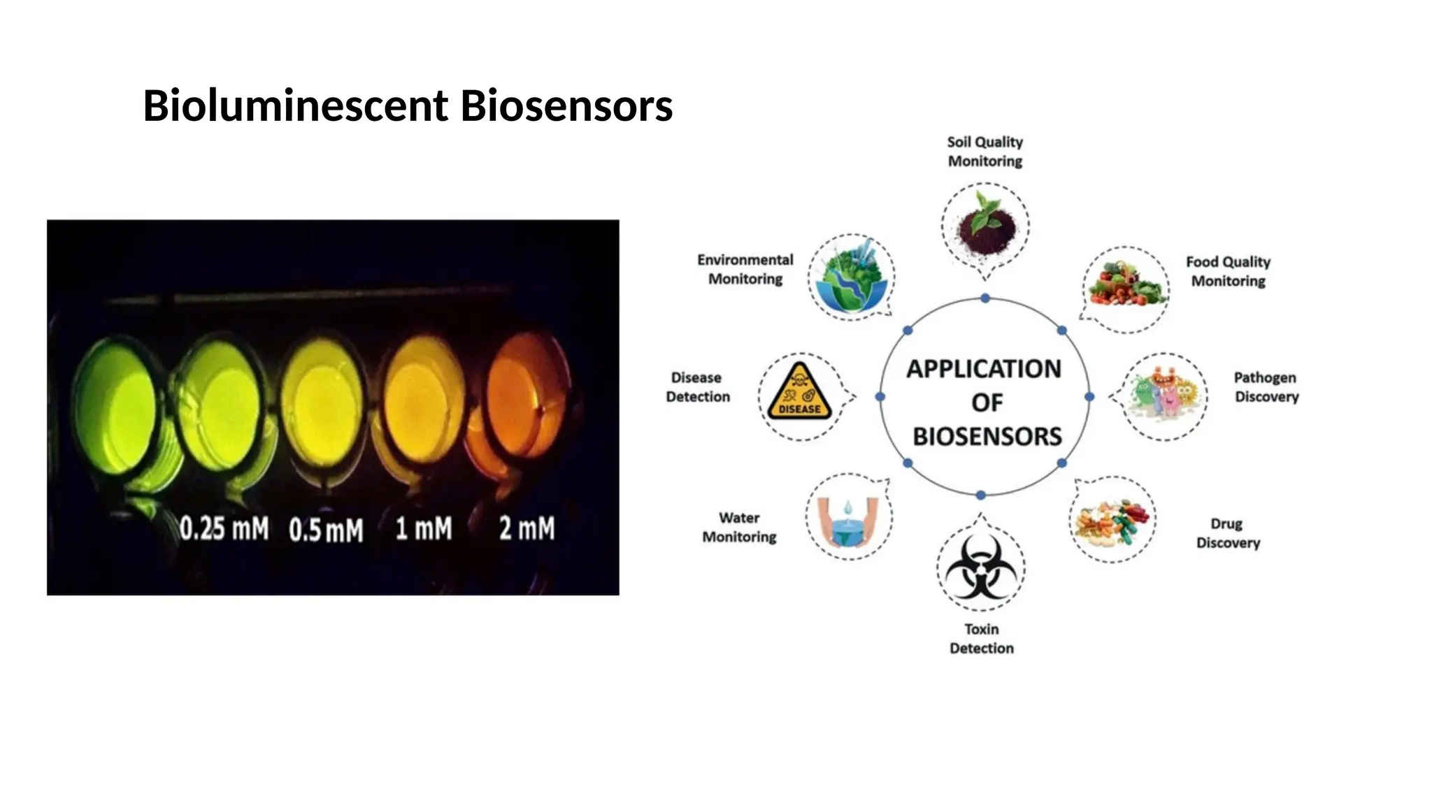 Bioluminescent Biosensors
 